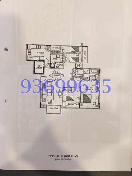 Sims Green (D14), Apartment #151595072